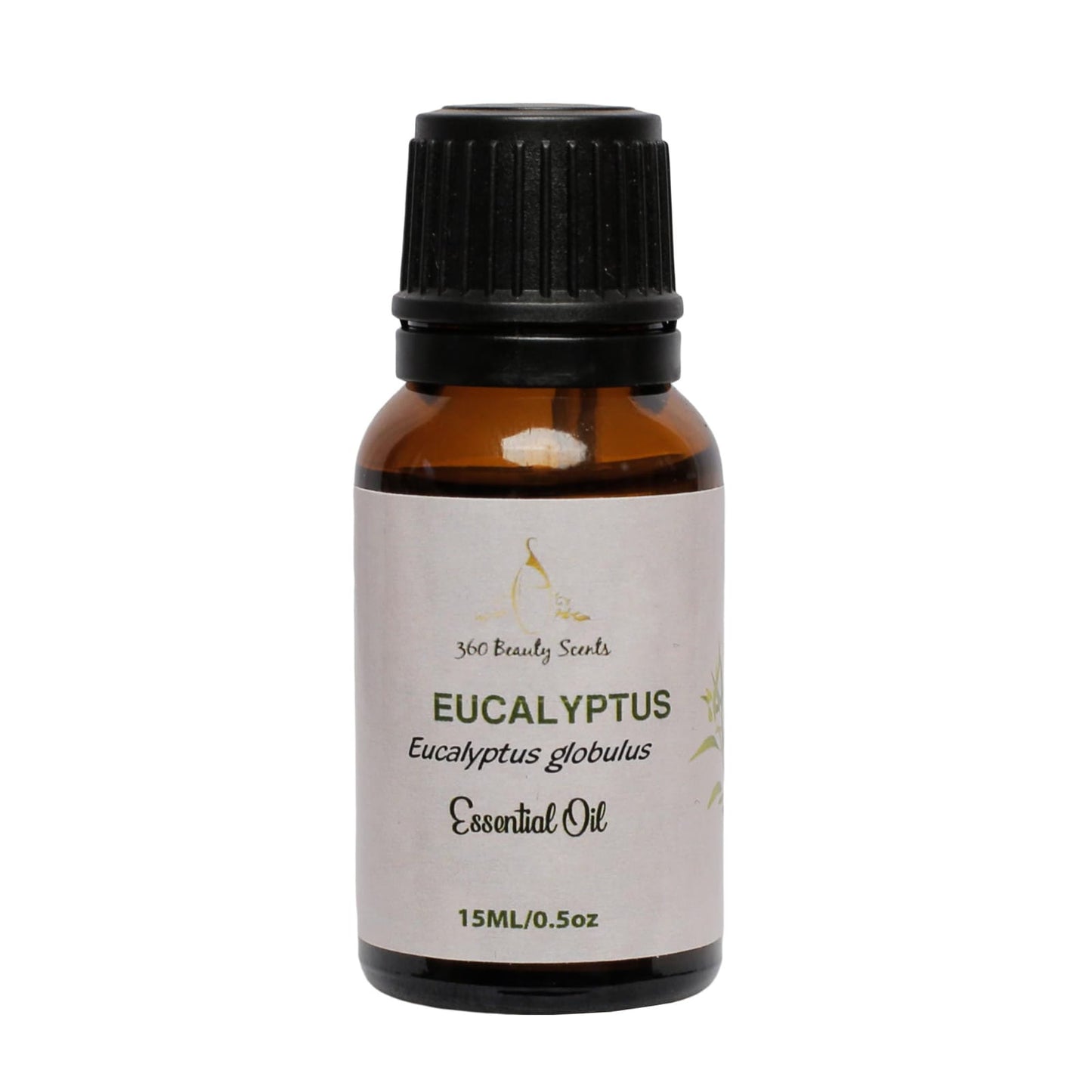 Eucalyptus Essential Oil