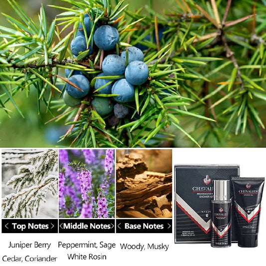 2-Piece Men Perfume Shower Gel Set Wood Oriental Fragrance Eau De Parfum