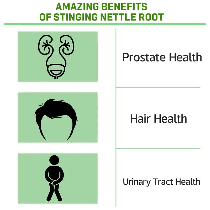 Stinging Nettle Root Capsules - Supports Prostate and Urinary Tract Health, Promotes Hair Growth, Reduces Urinary Frequency