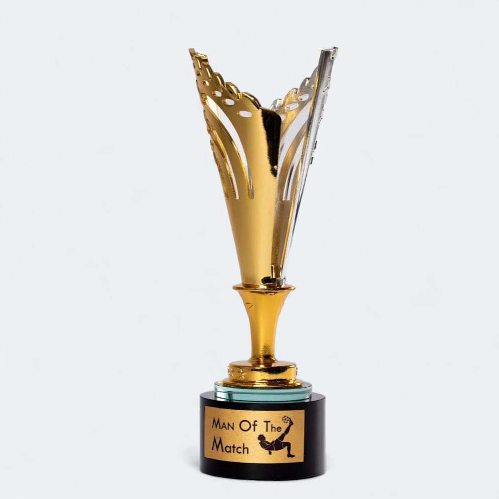 Award Trophy Ideas