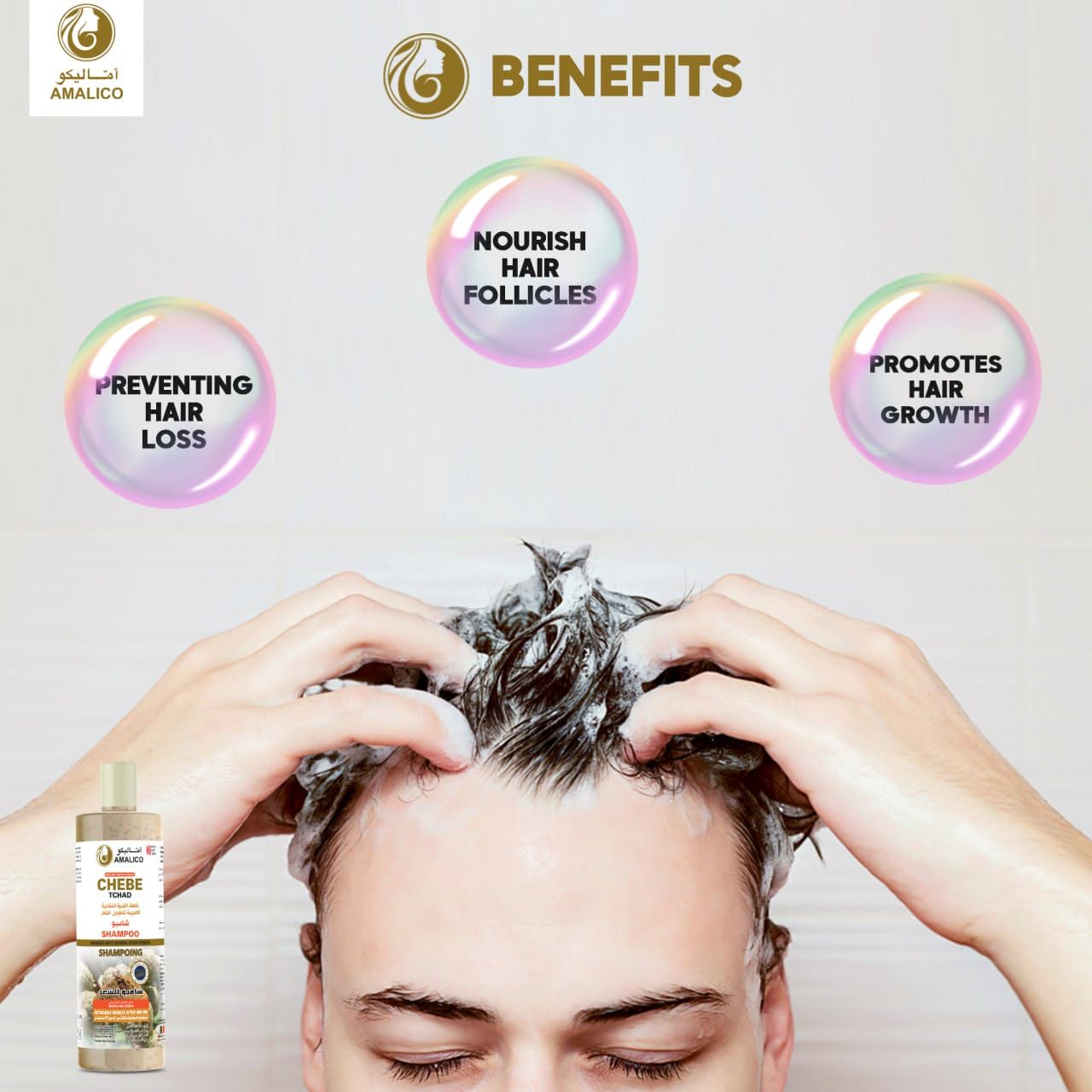 AMALICO Chebe Shampoo for Hair Growth - 100% Natural African Chebe Powder for Hair Growth Anti Dandruff Sulfate Free Shampoo16.9 Ounce Hair Shampoo for Hair Growth Soften