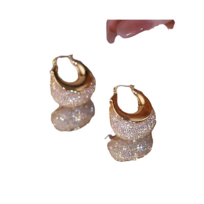 Mesh shaped crystal earrings for women, with a luxurious and high-end feel. Internet famous earrings, 2025 new trend, unique temperament, silver needle earrings