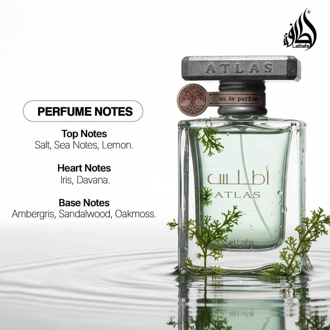 Lattafa Atlas Eau de Parfum 55ml