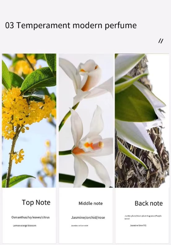 Best Sale 3PCS Custom Luxury Ladies Perfume Flowers Set 30ml*3 Perfume Bottles Birthday Christmas Party Dating Perfume Gift Set