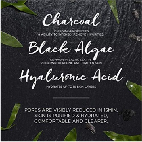 【Discounted】Garnier SkinActive Pure Charcoal Tissue Face Mask Black Algae