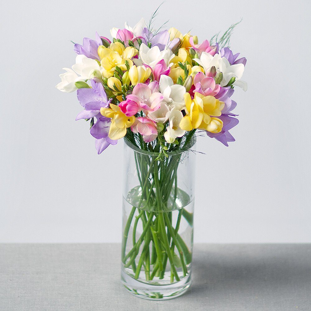Fragrant Freesias