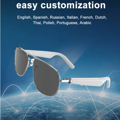 AI Smart Glasses Double Frame Translate Language Receive Call Voice Assistant Listen Music Remote Camera Noise Cancel Sunglasses