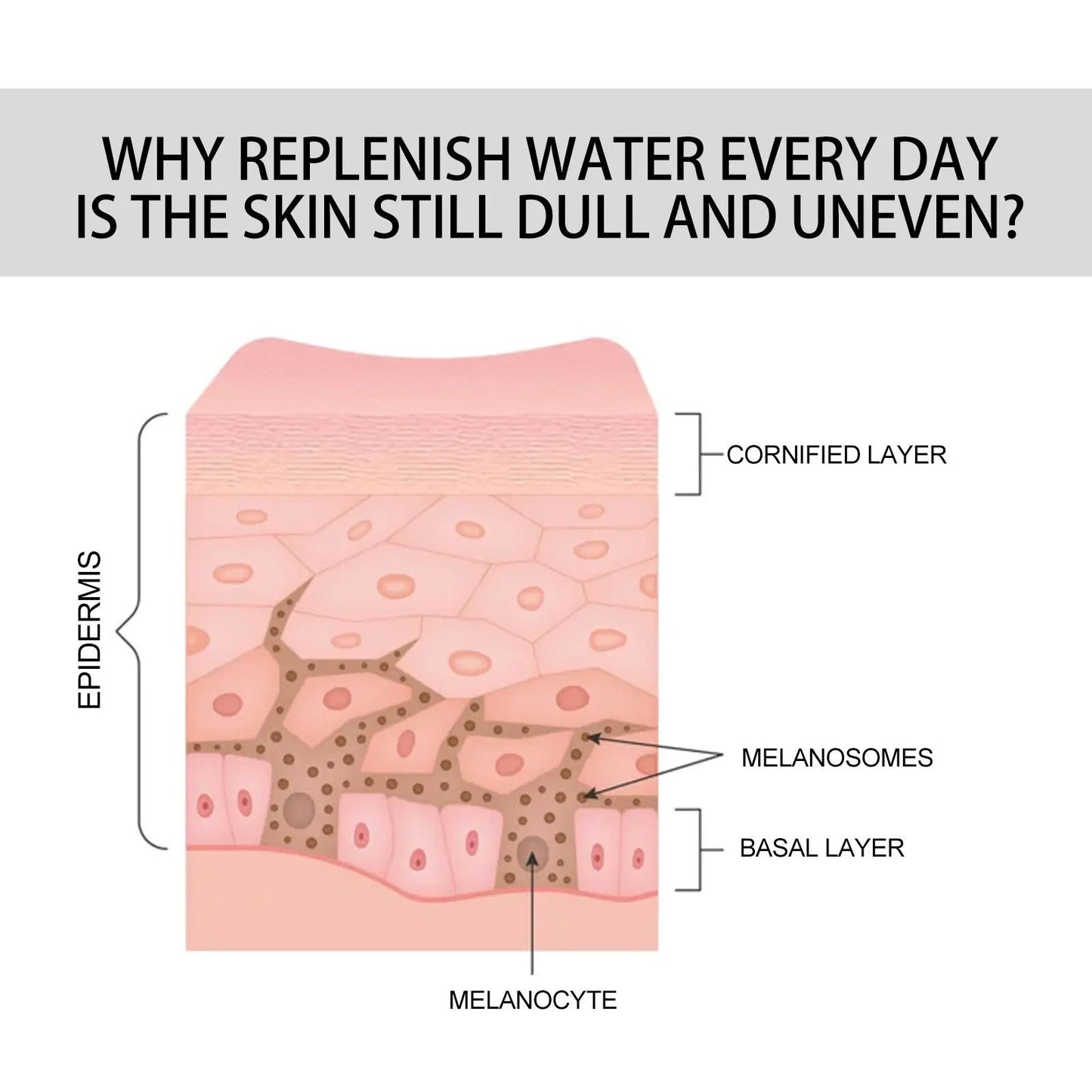 Instant Wrinkle Remove Serum Retinol Firming Lifting Improves Dullness Fade Fine Lines Brighten Repair Smooth Anti Aging Essence