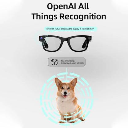 Smart AI Glasses 800W pixel AI Shooting Camera HD Photo Video Voice Call Translation Waterproof Bluetooth Glasses