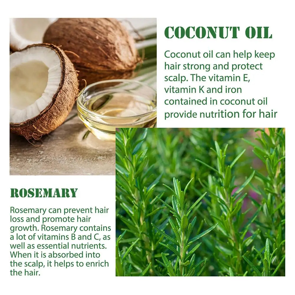 Rosemary Oil Hair Growth Essential Coconut Oil Improve Hair Loss And Nourishes Strengthen Hair Roots Scalp Treatment Hair Care