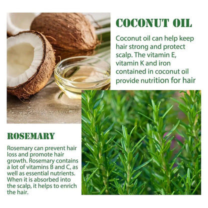 Rosemary Oil Hair Growth Essential Coconut Oil Improve Hair Loss And Nourishes Strengthen Hair Roots Scalp Treatment Hair Care