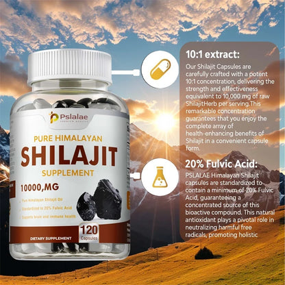 Shilajit Supplements - Supports Brain Health, Improves Cognitive Function, Enhances Memory & Concentration, and Boosts Immunity