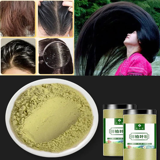 Natural Platycladus Orientalis Leaf Powder 250g Wild Chinese Cypress Herb | For Hair & Traditional Usage