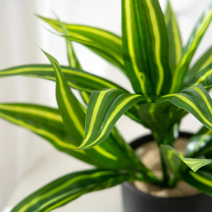 36cm Artificial Aloe Vera Leaf Plastic Agave Fake Chlorophytum Comosum Outdoor Plant Wall Grass For Home Garden Festival Decor