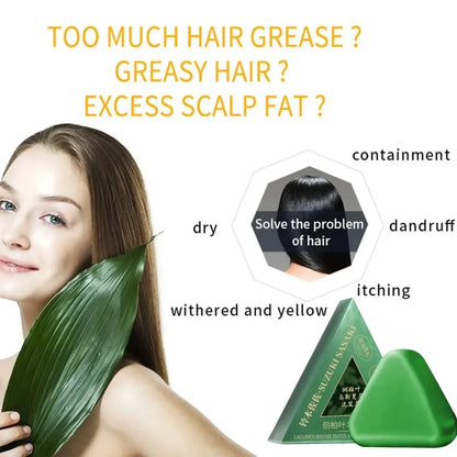 Minimalist cleaning and care approach, reshaping the strong and resilient vitality of hair roots