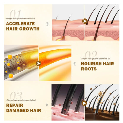 PURC Hair Growth Oil Ginger & Ginseng Essence Nourishing Scalp Treatment Hair Loss Care Products Men Women Grow Hair Oils 20ml