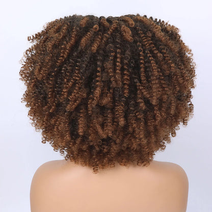 Tereshar Synthetic Short Curly Wigs for Black Women Afro Wig With Bangs Short Afro Kinky Curly Wig for Daily Party Wear