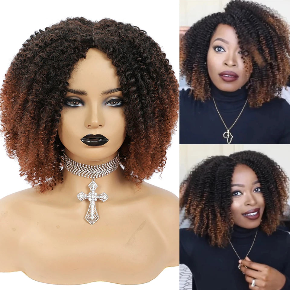MSIWIGS Women's Short Afro Kinky Curly Wigs Ombre Brown Synthetic Middle Part Nature Hair Black Daily Party Headgear with Clips