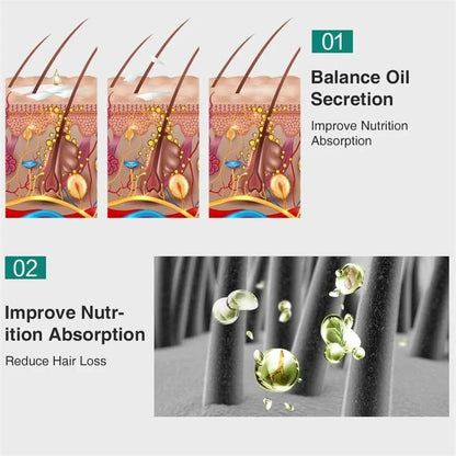 Fast Effective Growth Hair Essential Oil 5 Day Ginger Prevent Hair Loss Scalp Treatment Thicker Hair Care Products For Men Women