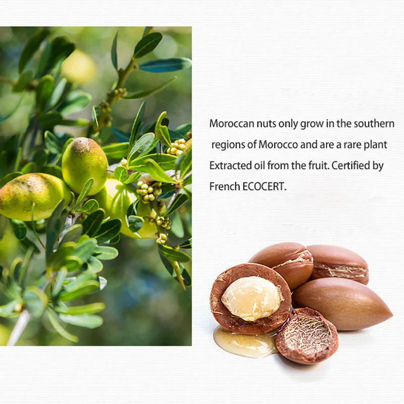 Raip Hair Care Essential Oil R3 Moroccan Argan Hair Oil Smooth and Fragrant 100ml