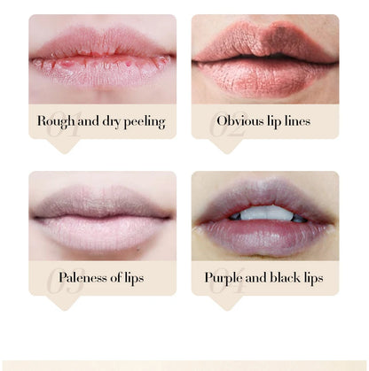 SADOER Coconut Oil Moisturizing Lip Balm Long-Lasting Nourishing Lip Care, All-Day Hydrating, Soothing Relief Dry Cracked Lips