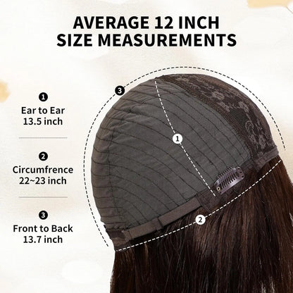 12 Inch Ombre Brown Wigs Human Hair for Women Short Straight Remy Human Hair Wigs With Bangs Brown Natural Hair Real Human Hair