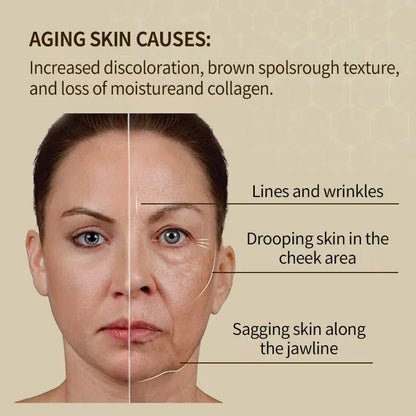 Premium Anti-Wrinkle Hyaluronic Acid Serum - Reduces Fine Lines Deep Hydration Firms Skin Fast Absorption Non-Greasy