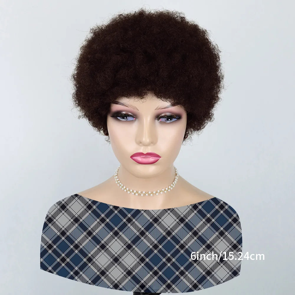 Afro Kinky Curly Wig - Human Hair,  Fluffy - Natural Looking, Effortlessly Stylish  for Women Machine Made