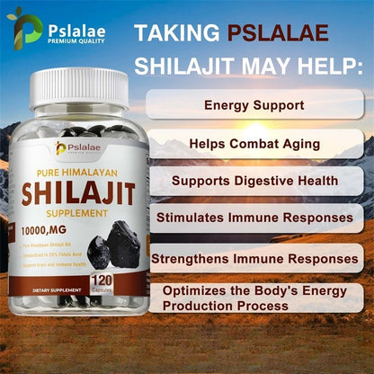 Shilajit Supplements - Supports Brain Health, Improves Cognitive Function, Enhances Memory & Concentration, and Boosts Immunity