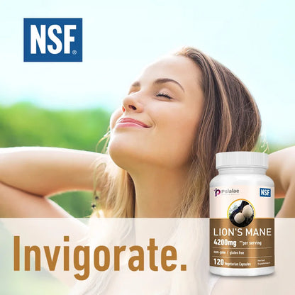 Lions Mane -  Relieve Stress, Immune System Health, Improve Memory, Protect Brain Nerves