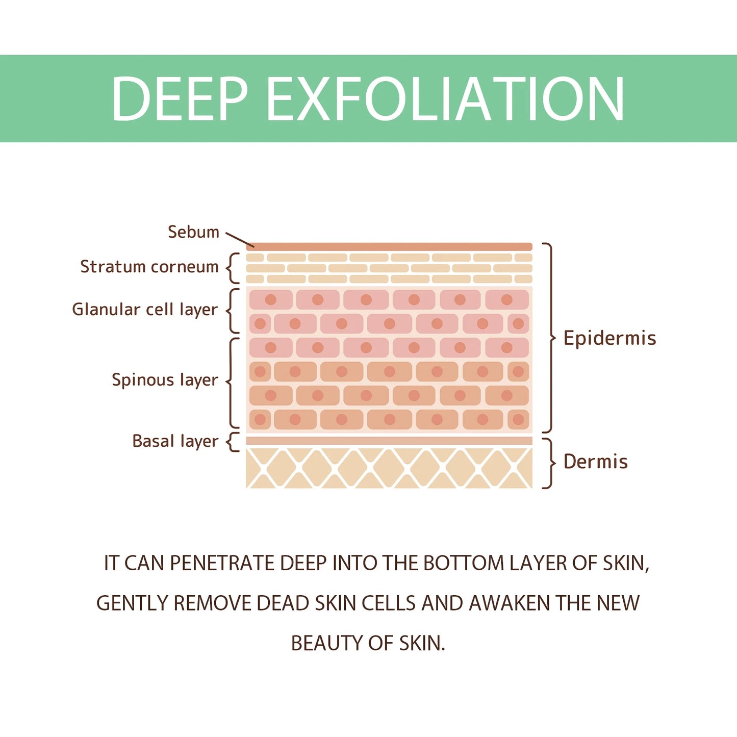 Herbal Facial Gel: A Gentle, Refreshing & Cleansing Skin Care Gel That Cleanses, Moisturizes and Leaves Skin Soft & Tender.