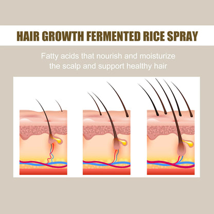 Fast Hair Growth Spray Fermented Rice Water Serum Prevent Thinning Dry Frizzy Repair Refreshing Anti Hair Loss Treatment Product