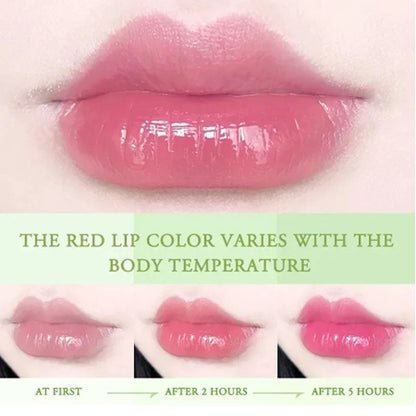 1Pcs Moisture Lip Balm Long-Lasting Natural Aloe Vera Lipstick Color Mood Changing Long Lasting Moisturizing Lipstick Anti Aging