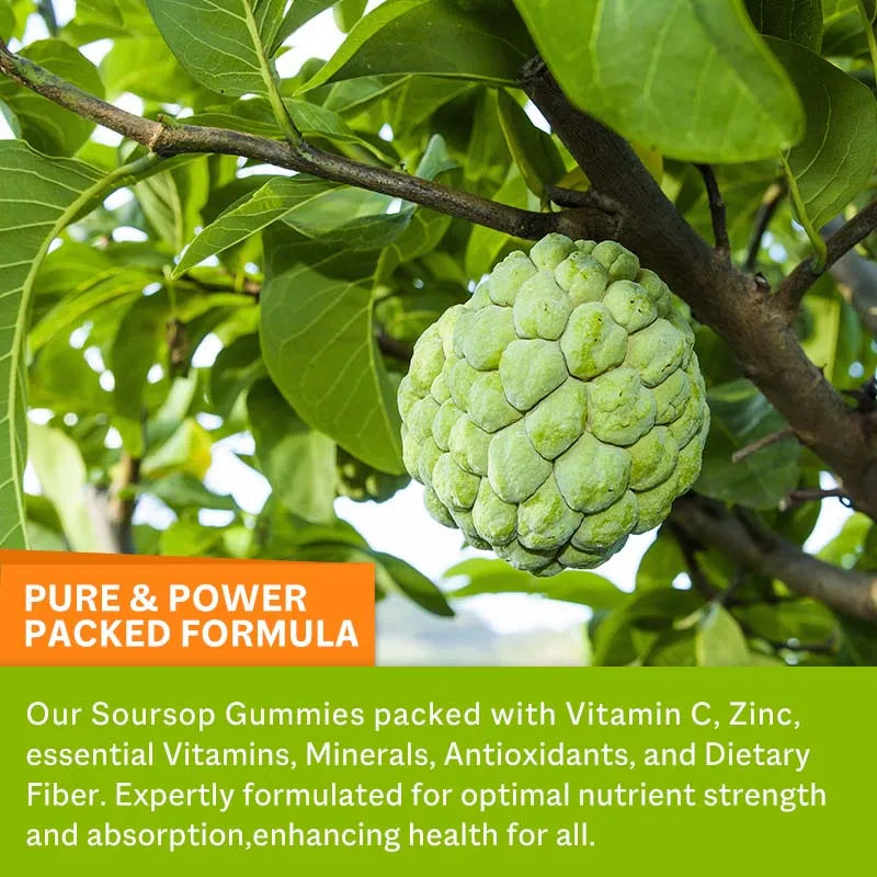 Soursop Graviola Gummies 2000Mg - Contains Vitamin C + Zinc To Aid Digestion, Cell Regeneration, Immune Support and Antioxidant