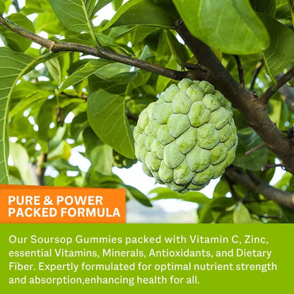 Soursop Graviola Gummies 2000Mg - Contains Vitamin C + Zinc To Aid Digestion, Cell Regeneration, Immune Support and Antioxidant