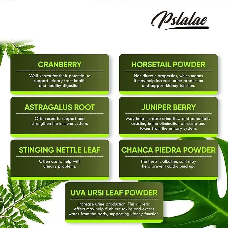 Kidney Support Supplement - for Normal Urinary Tract Health and Bladder Health, Healthy Kidney Function