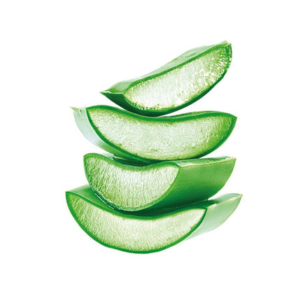 【Clearance Sale】NICE & LOVELY ALOEVERA HERBAL LOTION