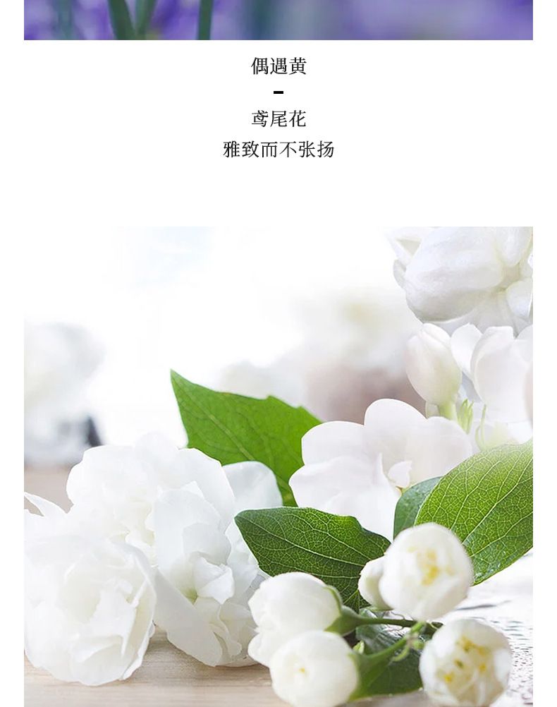 New Arrival 35ML*3 Women's Perfume Set Long Lasting Fresh Floral Fragrance Original Brand Parfum Spray 3 in 1 Gift Set