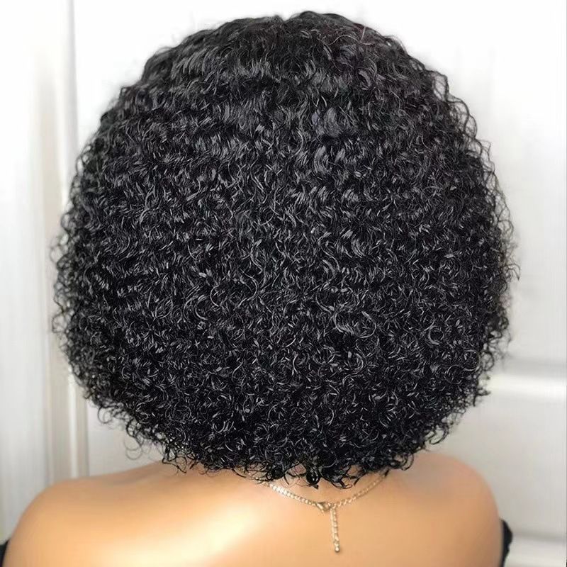 12Inch Wigs Fuffy Short Curly Hair Wig Synthetic Small Curly Wigs African Curls Hairstyles For Gift