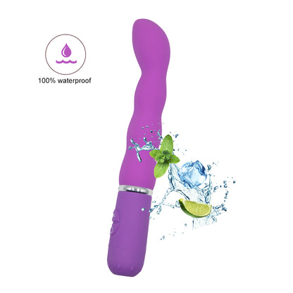HW VIBRATOR 10 Speeds women sex toys; G Spot Rabbit Bullet Vibrators Dildo Vibrator VERY NICE SEX TOY!!