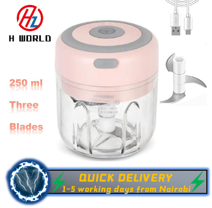 HW Wireless Electric Mini Garlic Chopper Machine(250ML), USB Kitchen Food Processor with 3 Blades