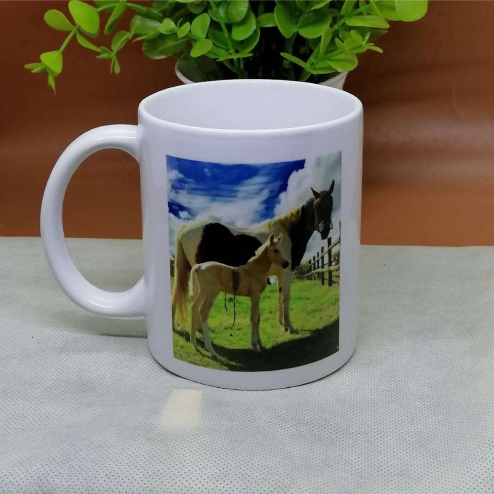 Branded Mugs  Coffee Mugs  Printed Mugs