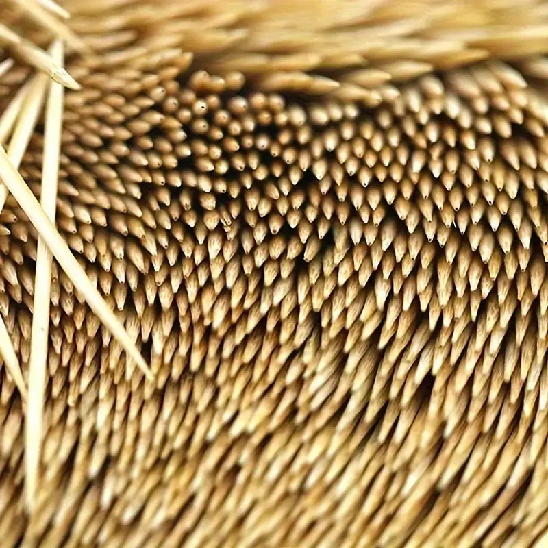 1000PCS Disposable Double Headed Toothpicks Natural Bamboo Floss Home Kitchen Restaurant Hotel Portable Teeth Cleaning Tool