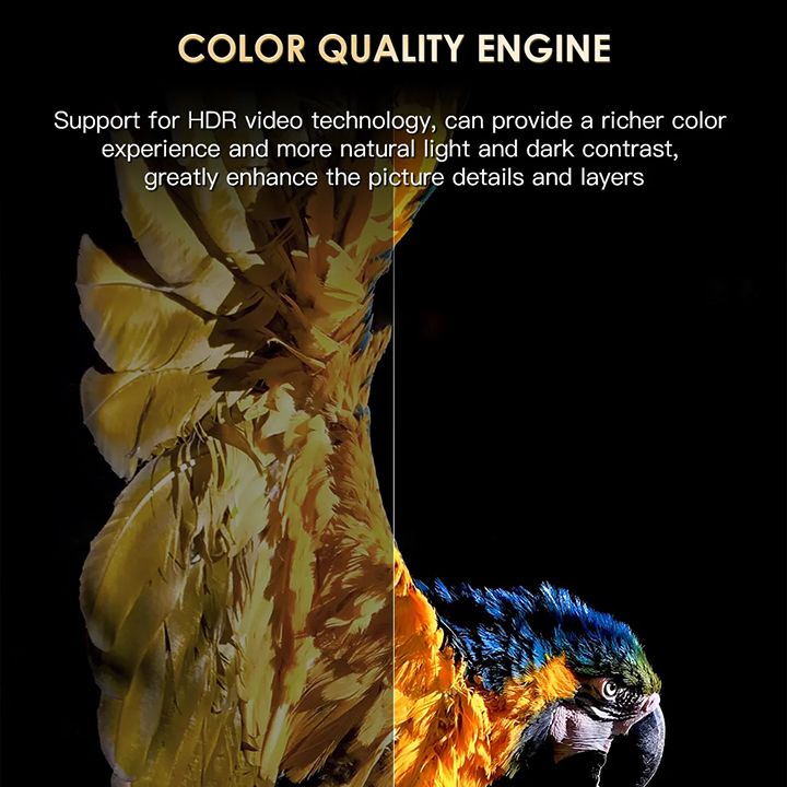 H20PRO Smart TV Box Android 10.0 TV BOX Allwinner H618 Dual Wifi Quad Core 1080P Video TV BOX 2GB 16GB 2.4&5G 4K HD Voice Assistant Media player Android Play Store Very Fast 1080P Set top box