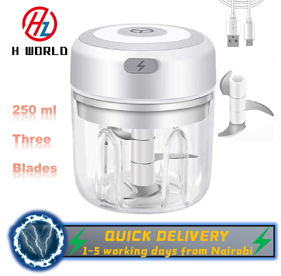 HW Wireless Electric Mini Garlic Chopper Machine(250ML), USB Kitchen Food Processor with 3 Blades
