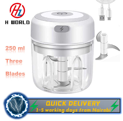 HW Wireless Electric Mini Garlic Chopper Machine(250ML), USB Kitchen Food Processor with 3 Blades