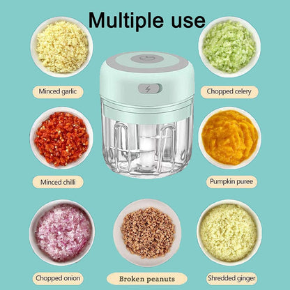 HW Wireless Electric Mini Garlic Chopper Machine(250ML), USB Kitchen Food Processor with 3 Blades