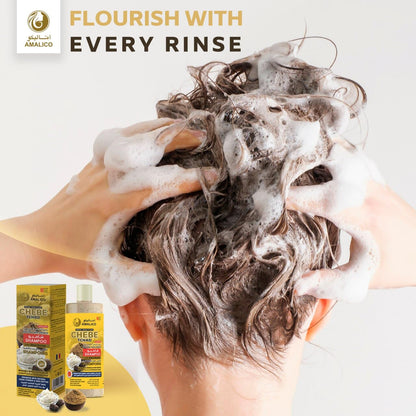 Amalico Chebe Shampoo with Chebe Powder and Shea Butter 500ml (16.9 OZ) Hair Shampoo for Hair Growth and Anti-dandruff Shampoo Anti itch Scalp Shampoo