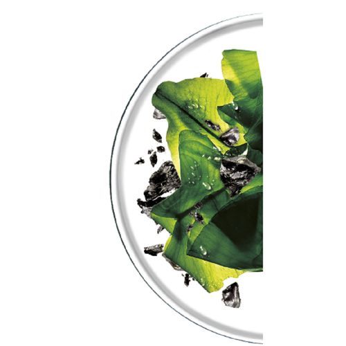 【Discounted】Garnier SkinActive Pure Charcoal Tissue Face Mask Black Algae