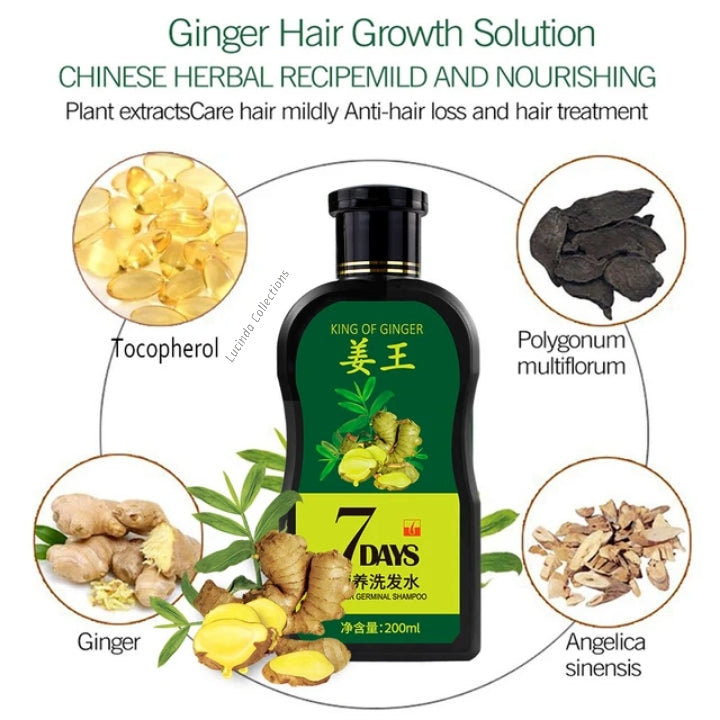 King Of Ginger 7 Days Germinal Shampoo Hair Care 200ml - Hair Care Growth Treatment Anti Hair Loss